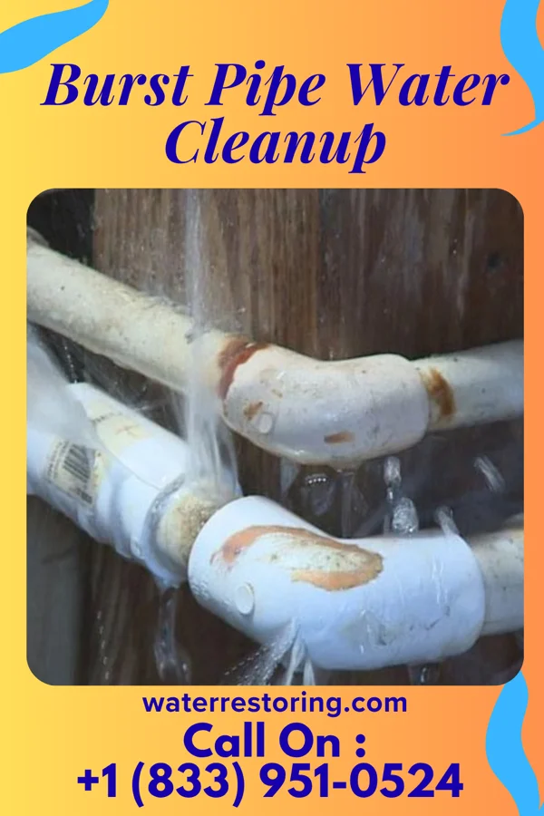 Burst Pipe Water Cleanup in Grand Mound, WA