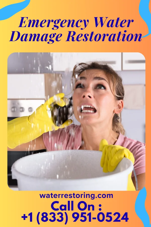 Emergency Water Damage Restoration in Grand Mound, WA
