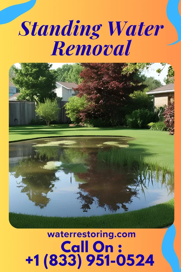 Standing Water Removal in Grand Mound, WA